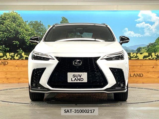 Lexus NX 2024-03 7501305-13