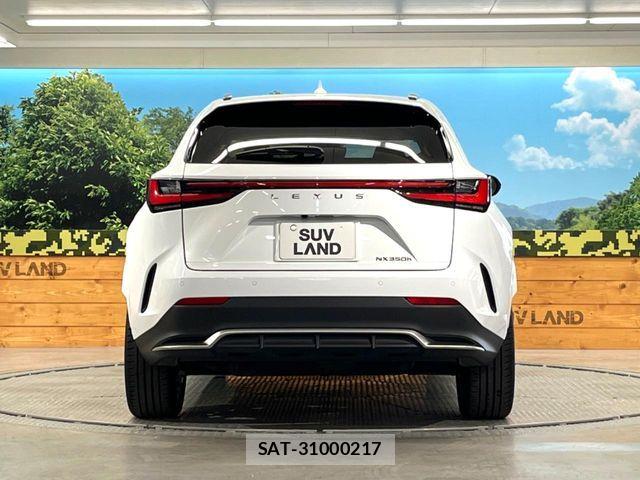 Lexus NX 2024-03 7501305-14