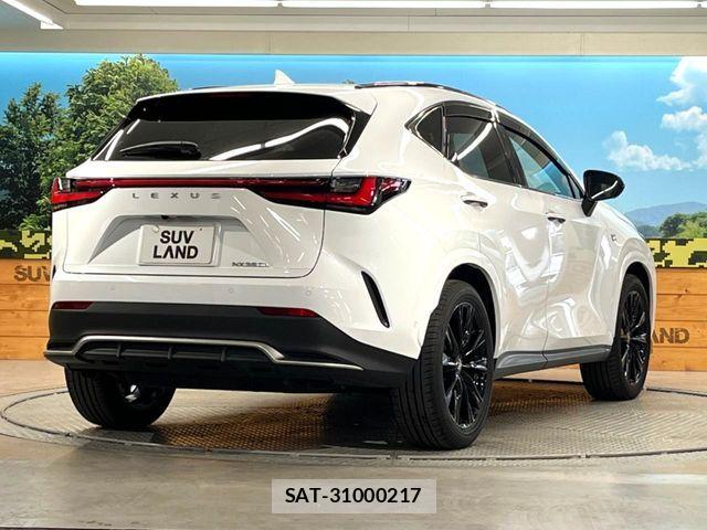 Lexus NX 2024-03 7501305-16