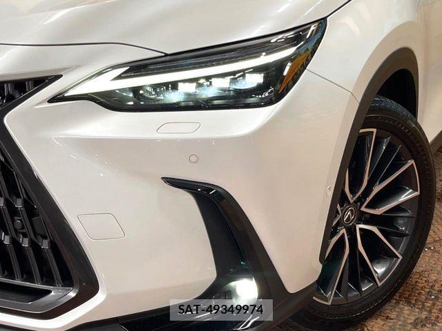 Lexus NX 2023-08 7501313-10
