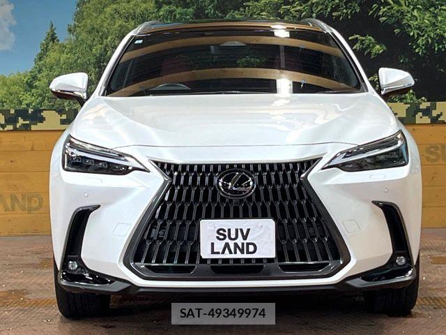 Lexus NX 2023-08 7501313-13