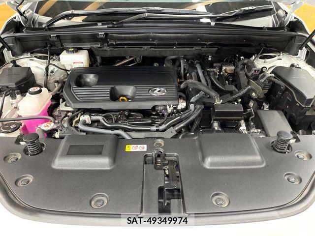 Lexus NX 2023-08 7501313-17