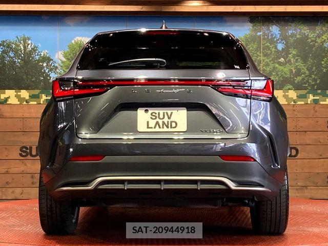 Lexus NX 2023-01 7501314-14