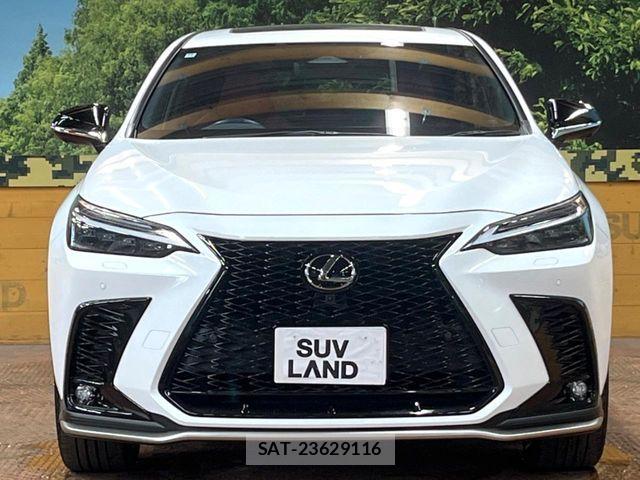Lexus NX 2024-11 7501306-13