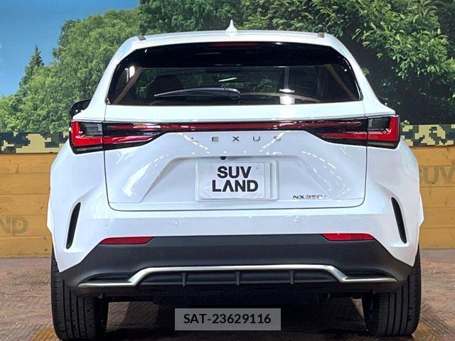 Lexus NX 2024-11 7501306-14