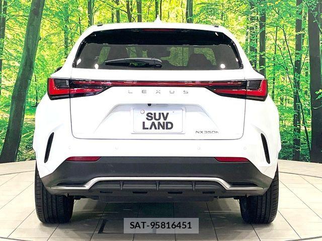 Lexus NX 2023-07 7562366-14