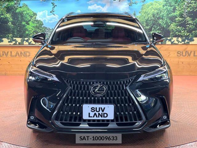 Lexus NX 2023-09 7562364-15