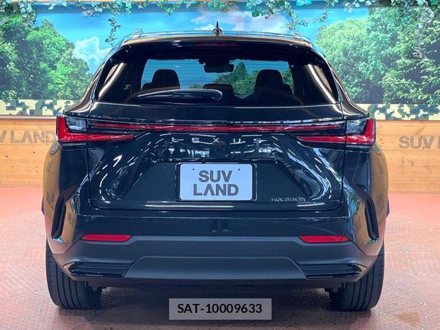 Lexus NX 2023-09 7562364-16