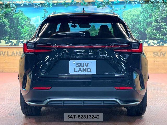 Lexus NX 2022-11 7562365-16