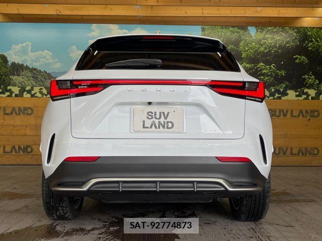 Lexus NX 2023-09 7562367-15