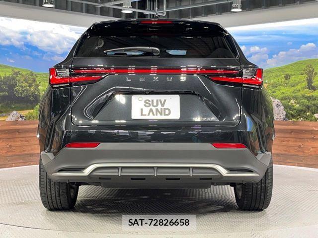 Lexus NX 2023-07 7562368-14