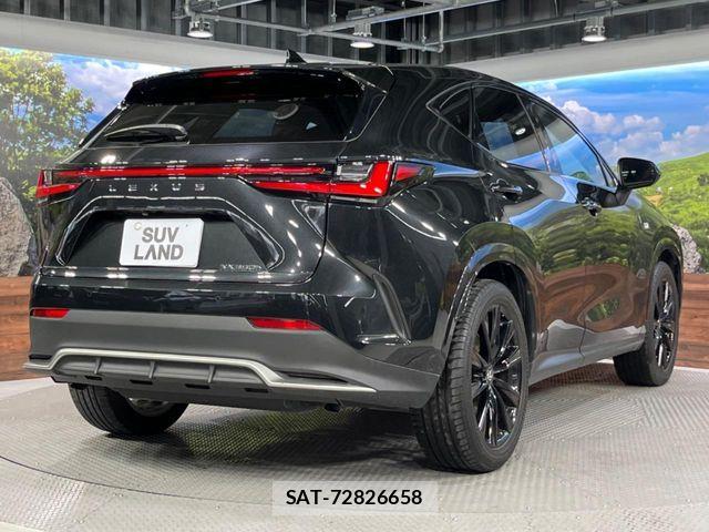 Lexus NX 2023-07 7562368-16