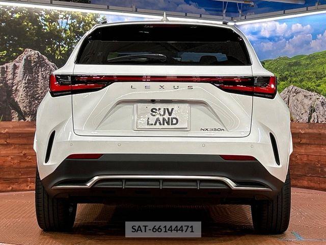 Lexus NX 2025-01 7617700-14
