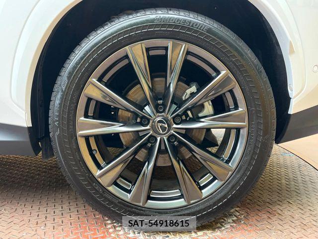 Lexus NX 2023-07 7617702-13