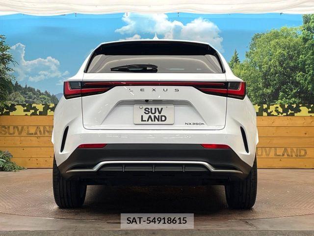 Lexus NX 2023-07 7617702-15