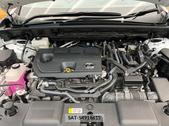 Lexus NX 2023-07 7617702-18