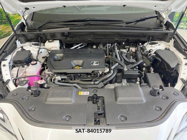 Lexus NX 2023-08 7617703-19