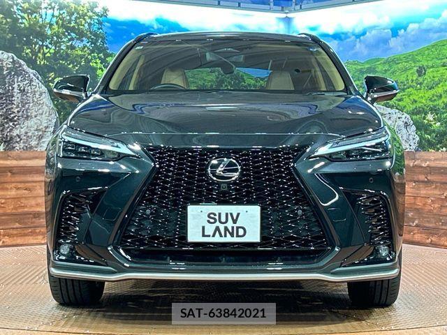 Lexus NX 2025-02 7617693-13