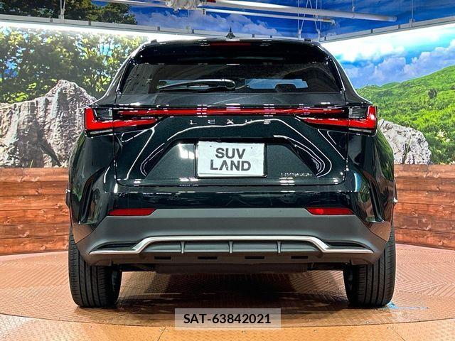 Lexus NX 2025-02 7617693-14