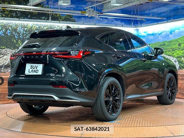 Lexus NX 2025-02 7617693-16
