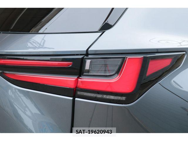 Lexus NX 2025-08 7617695-14