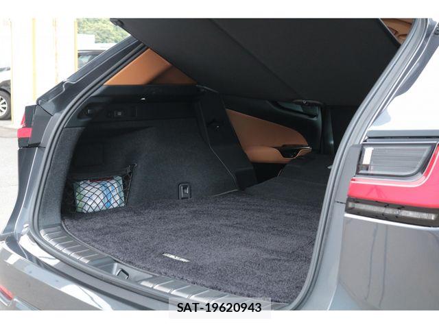 Lexus NX 2025-08 7617695-28