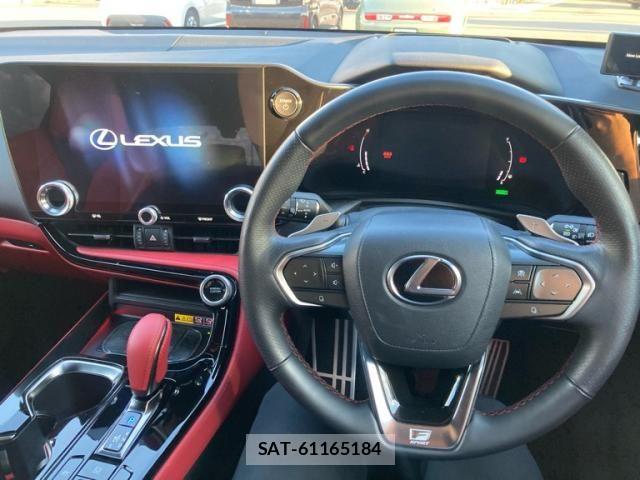 Lexus NX 2024-05 7617696-18