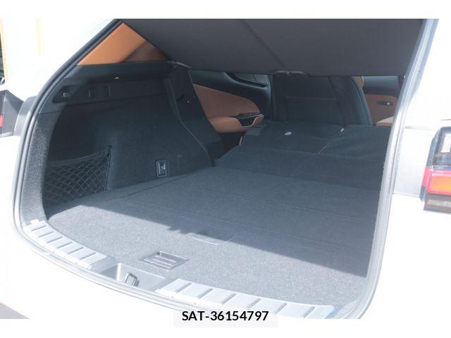 Lexus NX 2026-03 7617692-29
