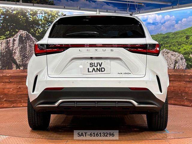 Lexus NX 2023-06 7617704-14
