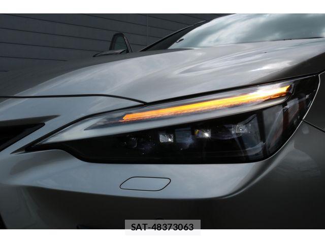 Lexus NX 2025-04 7725134-14