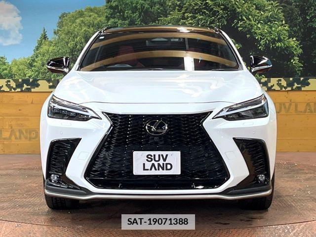 Lexus NX 2022-11 7725144-13