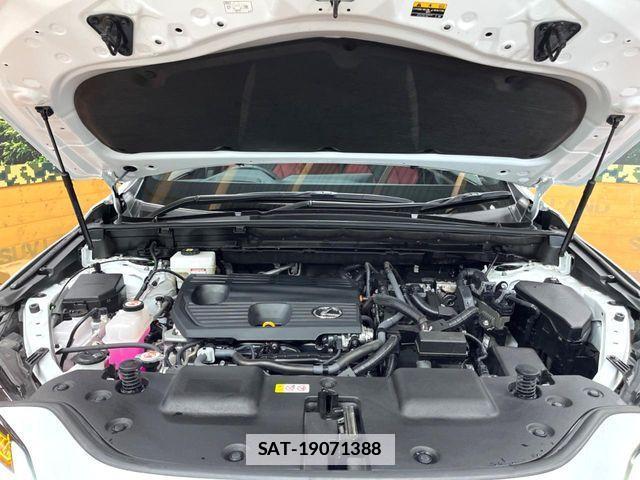Lexus NX 2022-11 7725144-17