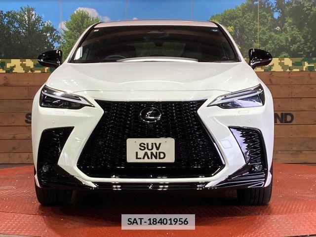 Lexus NX 2024-02 7786577-13