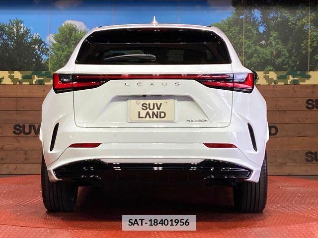 Lexus NX 2024-02 7786577-14