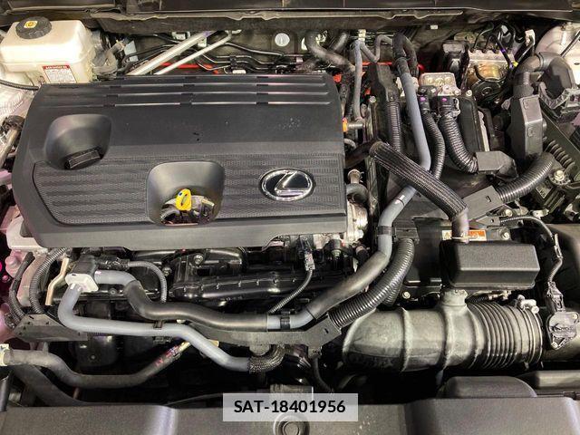 Lexus NX 2024-02 7786577-17