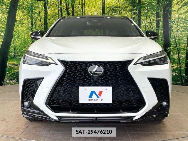 Lexus NX 2022-10 7786589-13