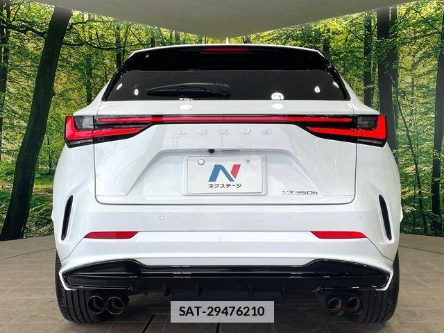 Lexus NX 2022-10 7786589-14