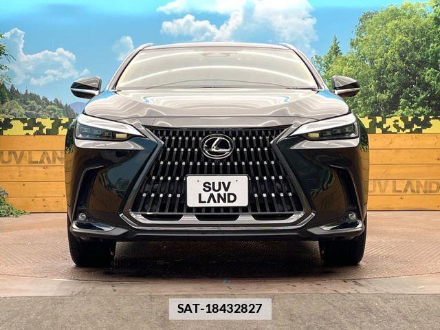 Lexus NX 2021-12 7786576-13