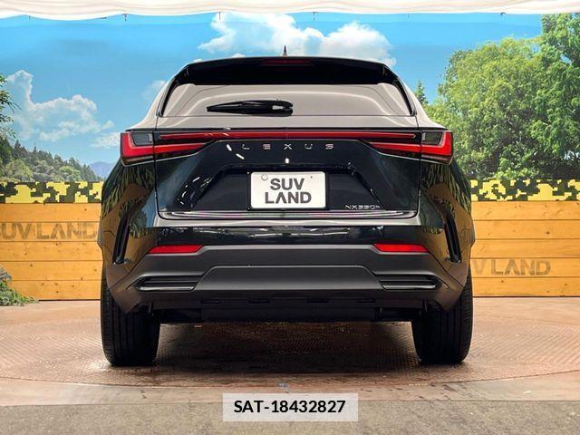 Lexus NX 2021-12 7786576-14