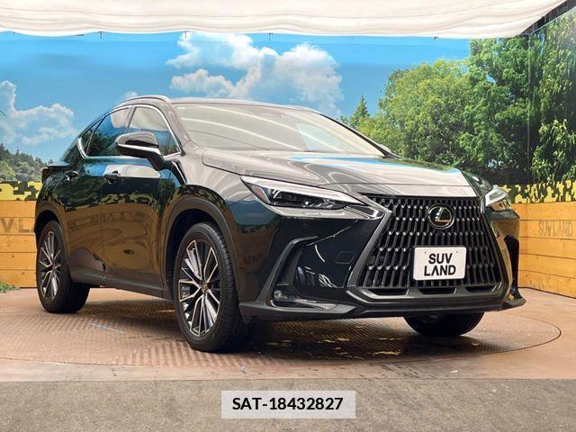 Lexus NX 2021-12 7786576-15