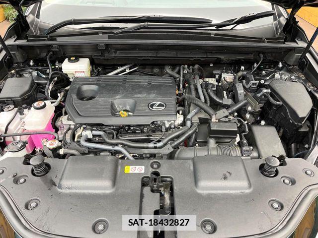 Lexus NX 2021-12 7786576-17