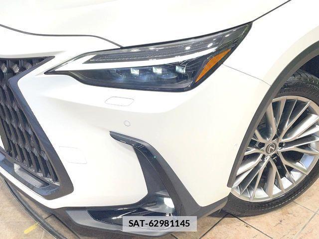 Lexus NX 2022-01 7786583-11