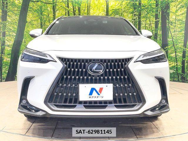 Lexus NX 2022-01 7786583-13