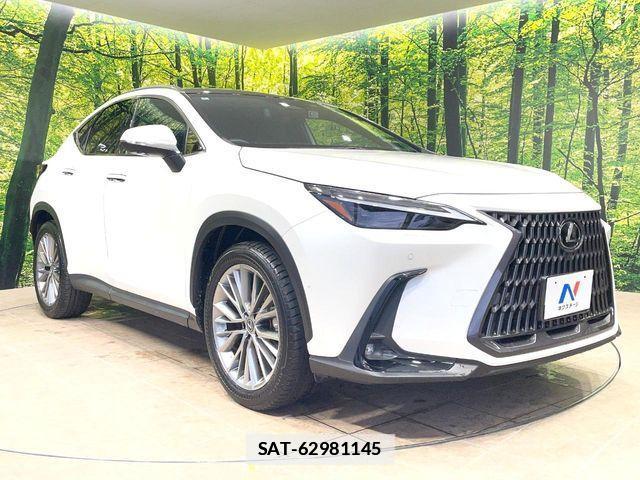 Lexus NX 2022-01 7786583-15