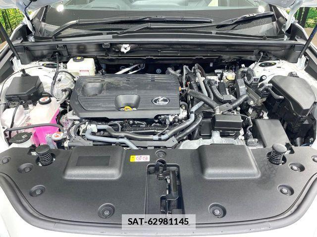 Lexus NX 2022-01 7786583-17