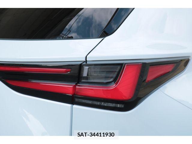 Lexus NX 2022-02 7786596-14