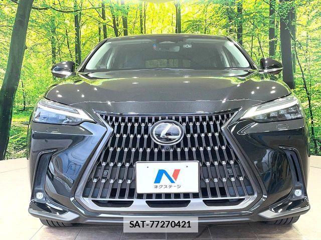 Lexus NX 2022-01 7786571-13