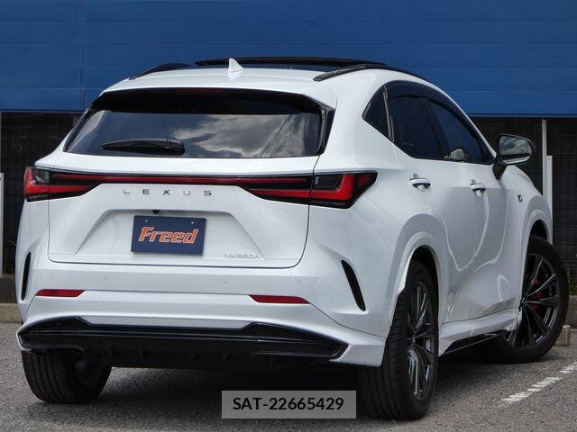 Lexus NX 2024-07 7877413-11