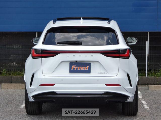 Lexus NX 2024-07 7877413-12