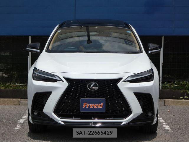 Lexus NX 2024-07 7877413-13